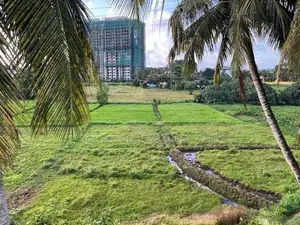Fully Furnished 3BR House for Rent – Makumbura, Pannipitiya