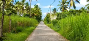 Nittambuwa 10 Perches Land for Sale (SSPL-492)