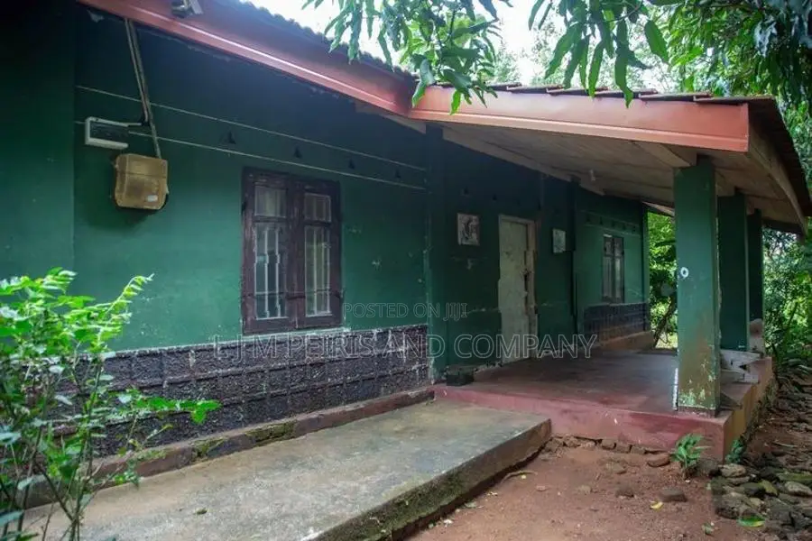 Coconut Land for Sale Kurunegala