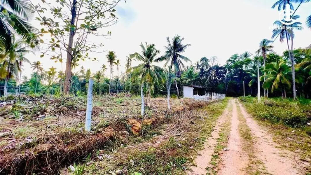 Prime Land for Sale in Pothuhera