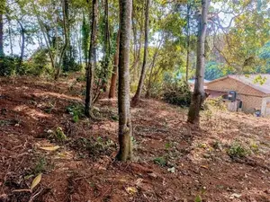 මාතර - දෙවිනුවරින් වටිනා බිම්කොටසක් / DU 13855