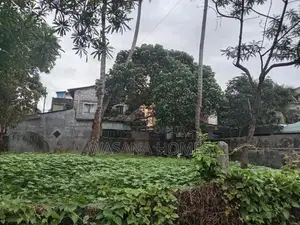 Prime Land for Sale Boralasgamuwa