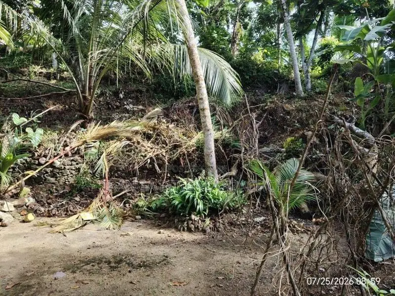 20 Perches Land in Town Matugama