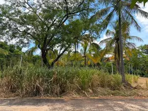 Land in Dambulla