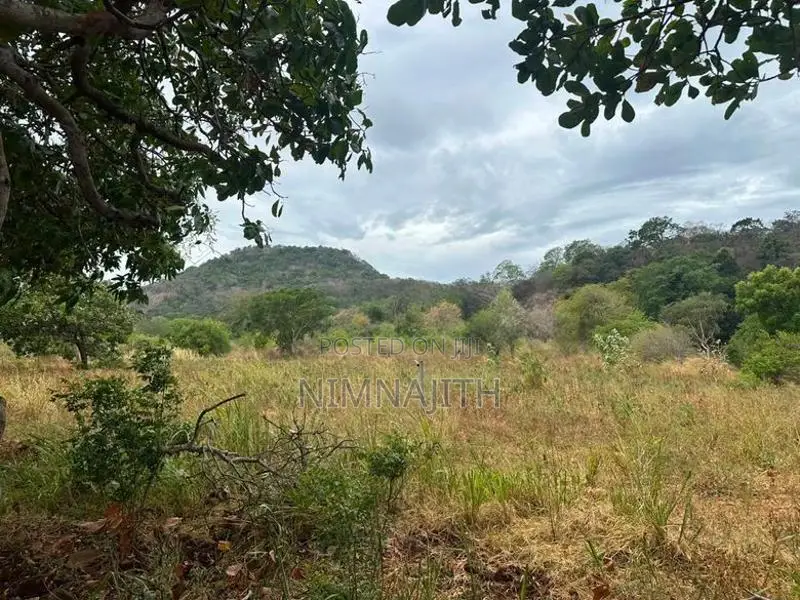තණමල්විල – බලහරුව ප්‍රදේශයෙන් ඉඩමක් විකිණීමට