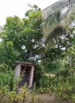 Land for Sale Vavuniya
