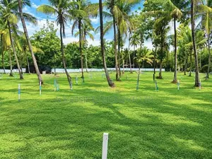 Land for Sale in Melsiripura - H08