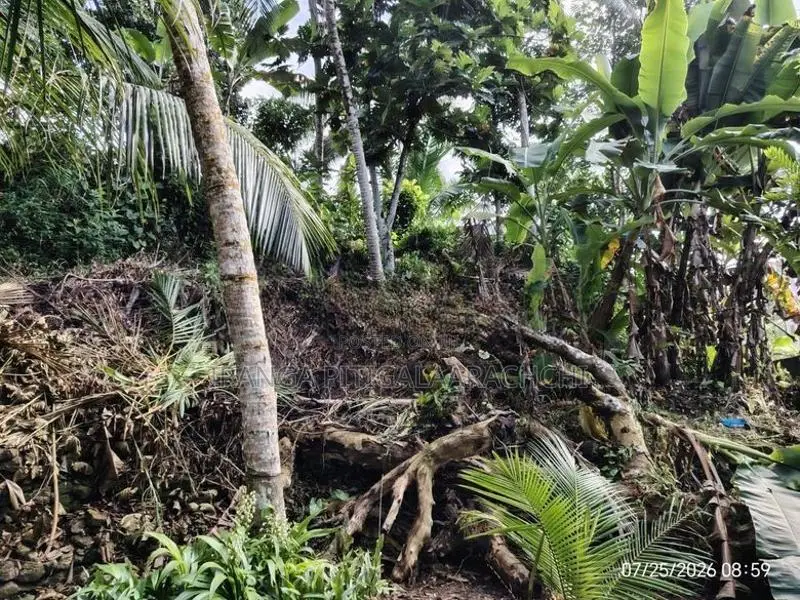 20 Perches Land in Town Matugama