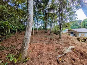 මාතර - දෙවිනුවරින් වටිනා බිම්කොටසක් / DU 13855