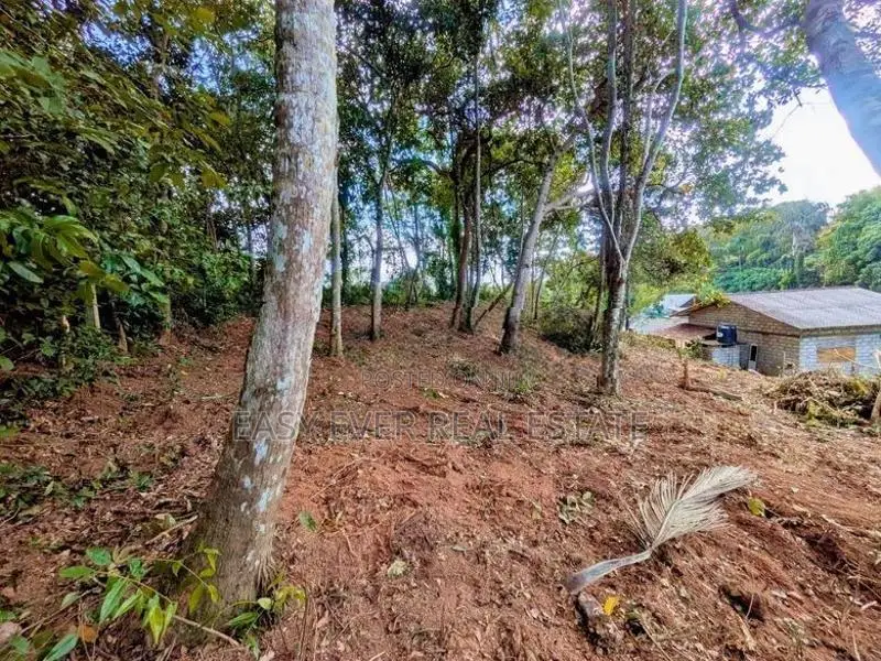 මාතර - දෙවිනුවරින් වටිනා බිම්කොටසක් / DU 13855