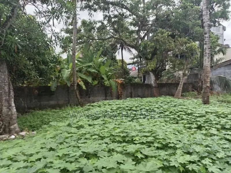 Prime Land for Sale Boralasgamuwa