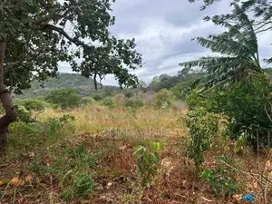 තණමල්විල – බලහරුව ප්‍රදේශයෙන් ඉඩමක් විකිණීමට
