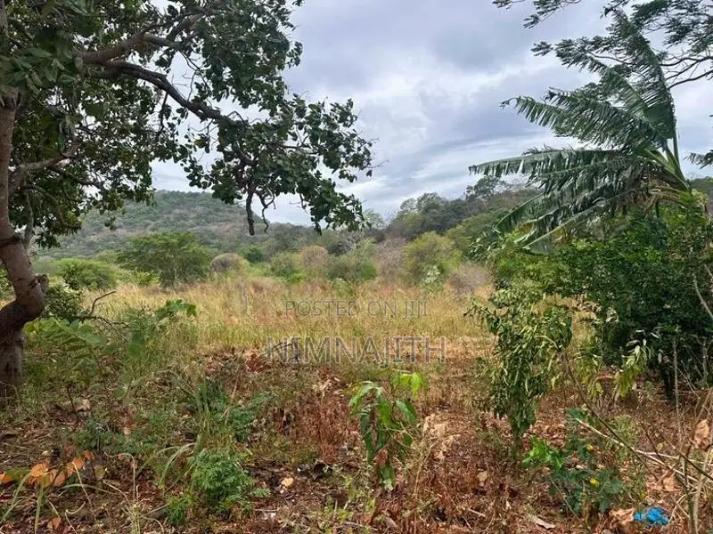 තණමල්විල – බලහරුව ප්‍රදේශයෙන් ඉඩමක් විකිණීමට