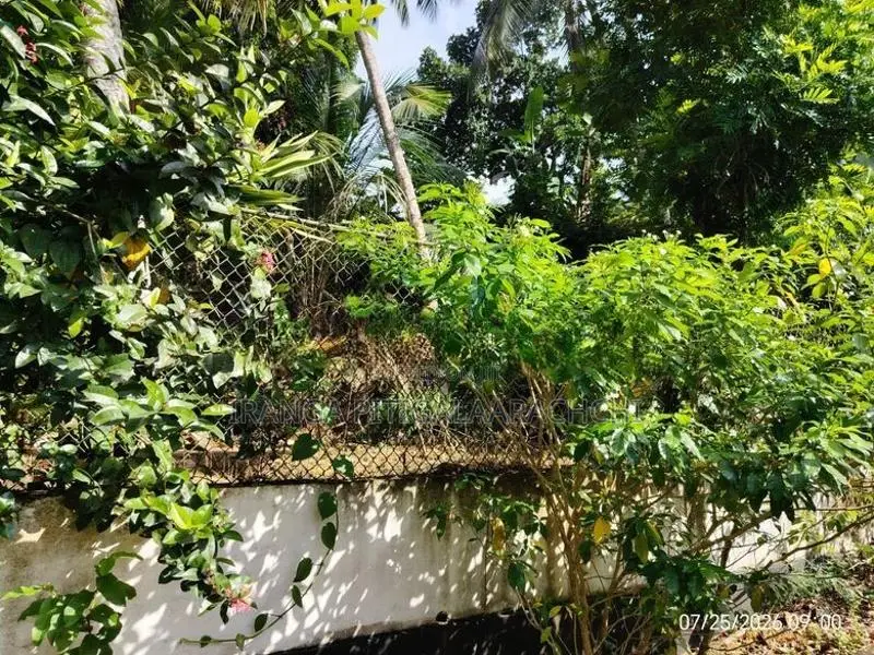 20 Perches Land in Town Matugama