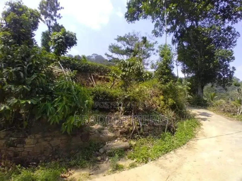 Beautiful View Point Tea Land for Sale Gampola