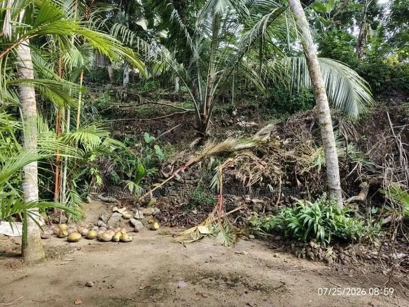 20 Perches Land in Town Matugama
