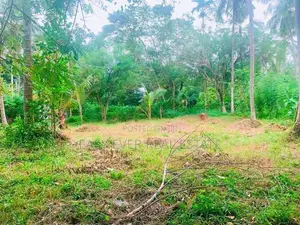 වේයන්ගොඩ කටුනායක ප්‍රධාන පරෙන් වටිනා ඉඩමක් / CH 15048