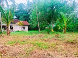 වේයන්ගොඩ කටුනායක ප්‍රධාන පරෙන් වටිනා ඉඩමක් / CH 15048