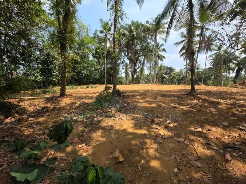 Mawak Oya Facing Land For Sale - Padukka