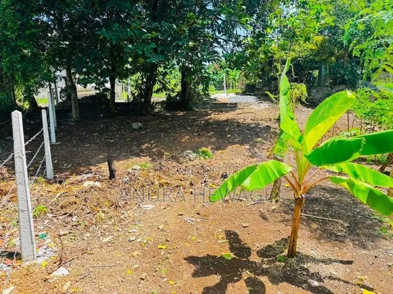 Valuable Land for Sale Piliyandala, Madapatha. (ID : PLN001)