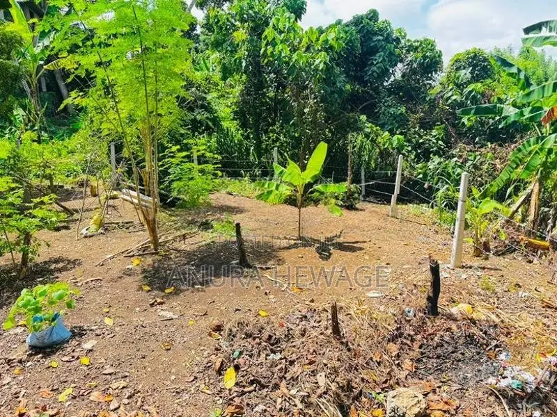 Valuable Land for Sale Piliyandala, Madapatha. (ID : PLN001)