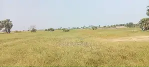 Develop Area Land Nilaveli