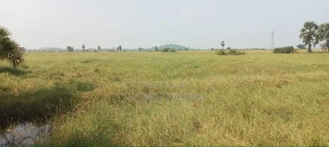 Develop Area Land Nilaveli