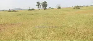 Develop Area Land Nilaveli