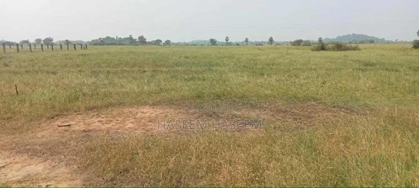 Develop Area Land Nilaveli