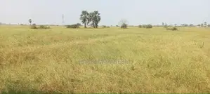 Develop Area Land Nilaveli