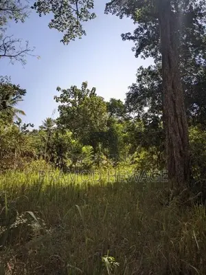 27 Perch Land for Sale - Buttala