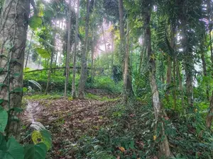 Land for Sale in Katugastota
