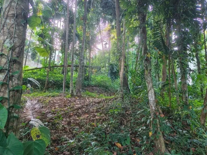 Land for Sale in Katugastota