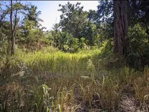 27 Perch Land for Sale - Buttala