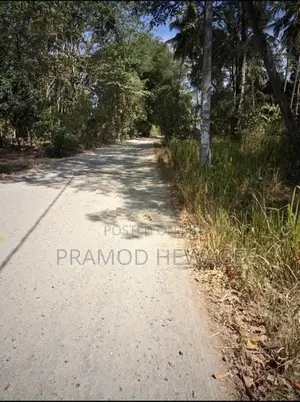 27 Perch Land for Sale - Buttala