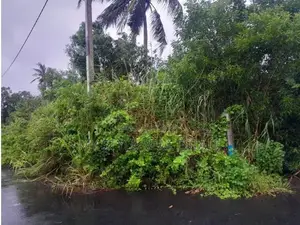Katunayake 8 P Land for Sale ( @ Prime )