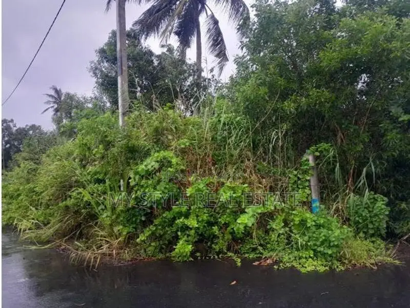 Katunayake 8 P Land for Sale ( @ Prime )