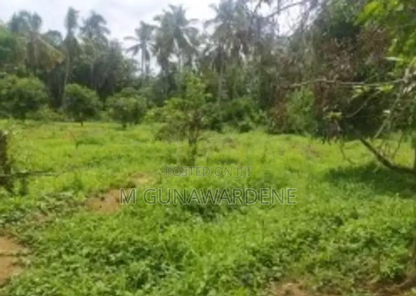 Land For Sale in Kalutara