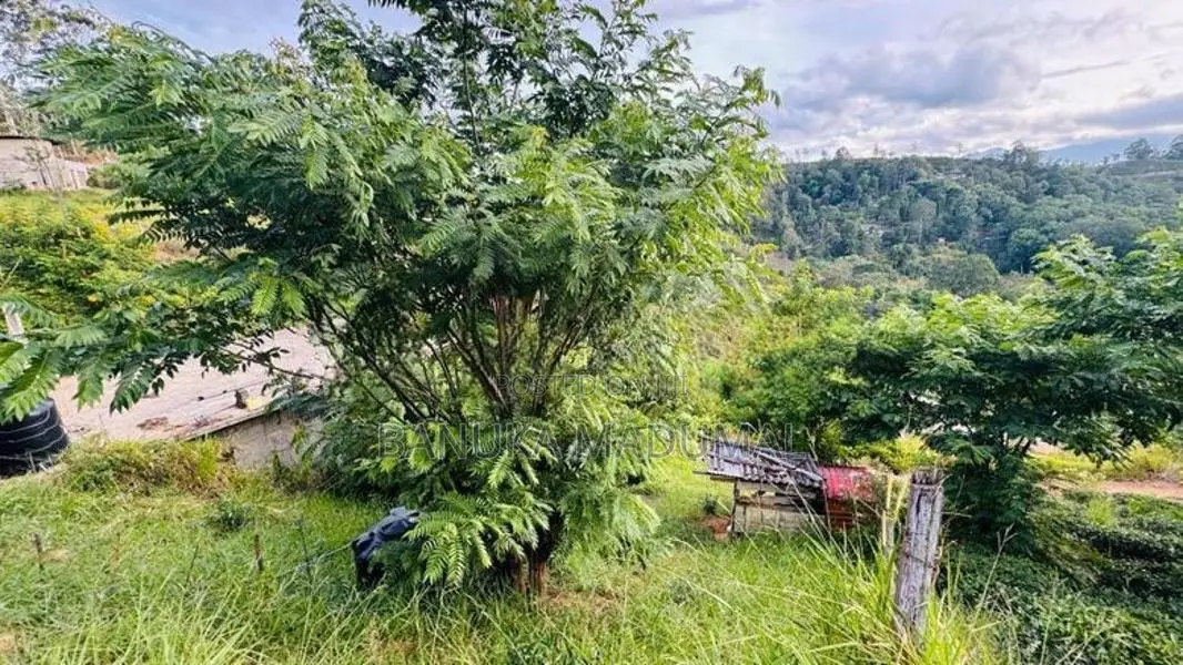 බණ්ඩාරවෙල - ඇටම්පිටිය ප්‍රධාන මාර්ගයට ආසන්න වටිනා ඉඩමක් විකිණීමට