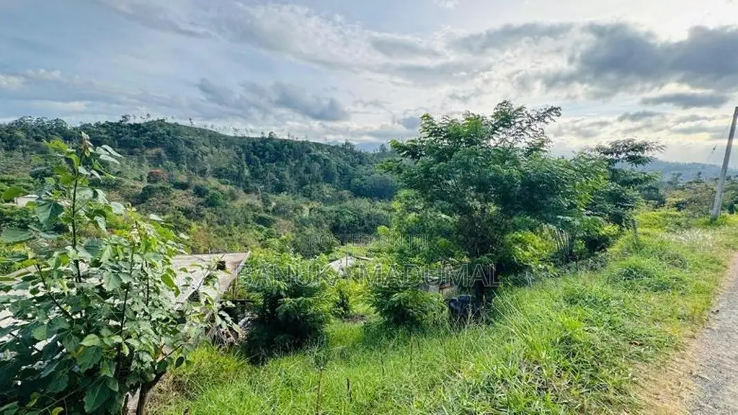 බණ්ඩාරවෙල - ඇටම්පිටිය ප්‍රධාන මාර්ගයට ආසන්න වටිනා ඉඩමක් විකිණීමට