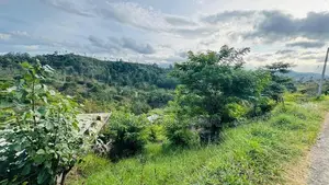 බණ්ඩාරවෙල - ඇටම්පිටිය ප්‍රධාන මාර්ගයට ආසන්න වටිනා ඉඩමක් විකිණීමට