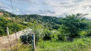 බණ්ඩාරවෙල - ඇටම්පිටිය ප්‍රධාන මාර්ගයට ආසන්න වටිනා ඉඩමක් විකිණීමට