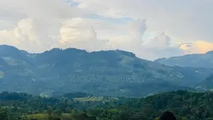 Land for Sale in Doluwa