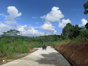 පේරාදෙනිය නගරයට සමීපවම අගනා බිම් කොටස් කිහිපයක්