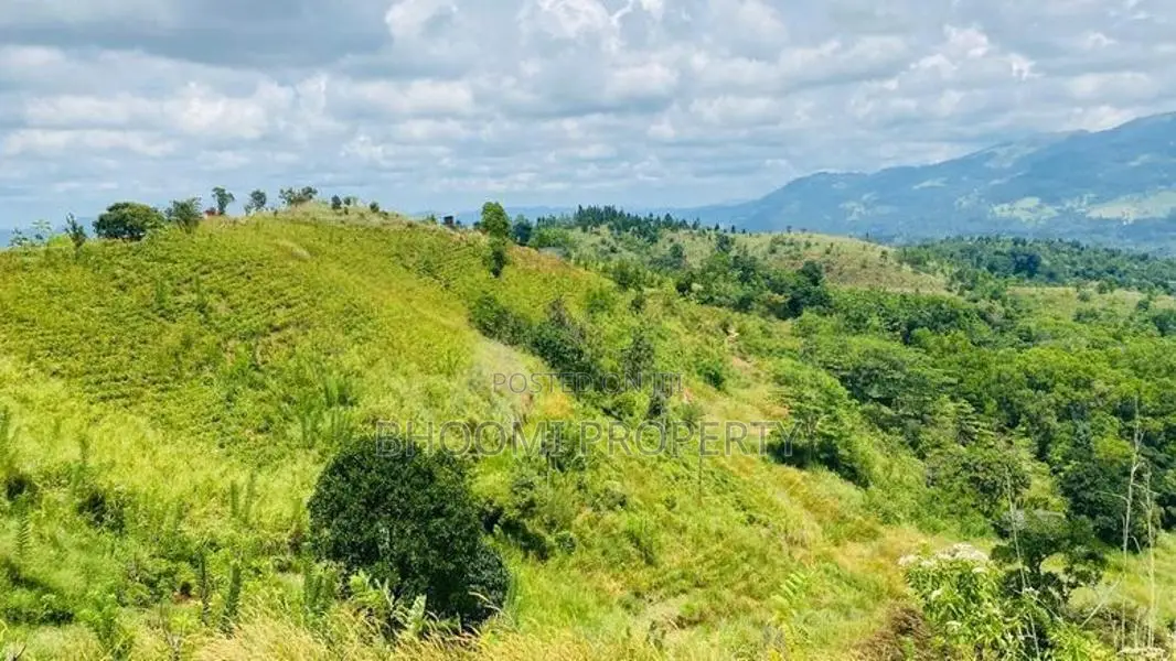Land for Sale in Doluwa