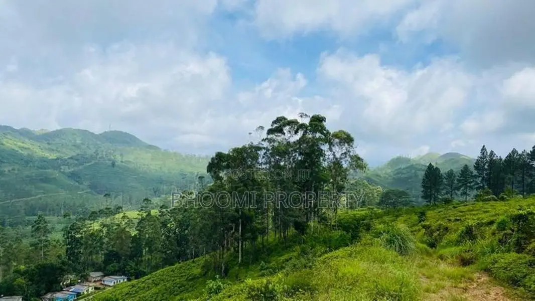 Land for Sale in Watawala