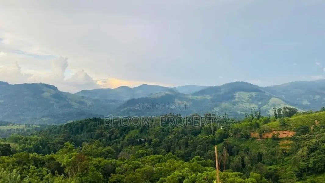 Land for Sale in Doluwa
