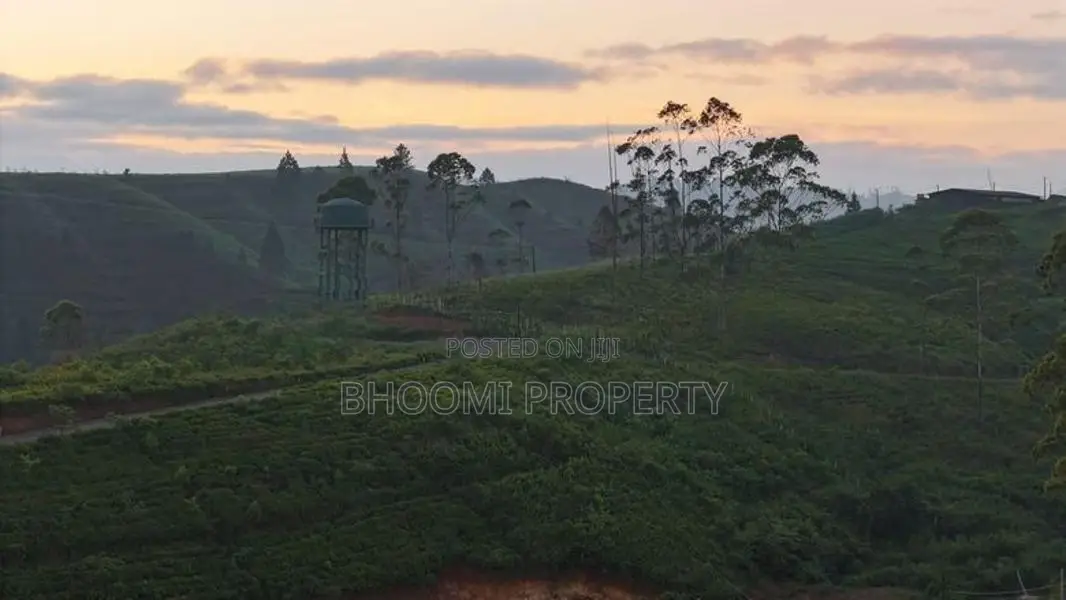 Land for Sale in Watawala