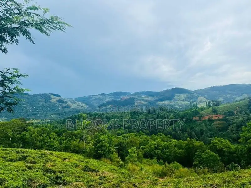 Land for Sale in Doluwa