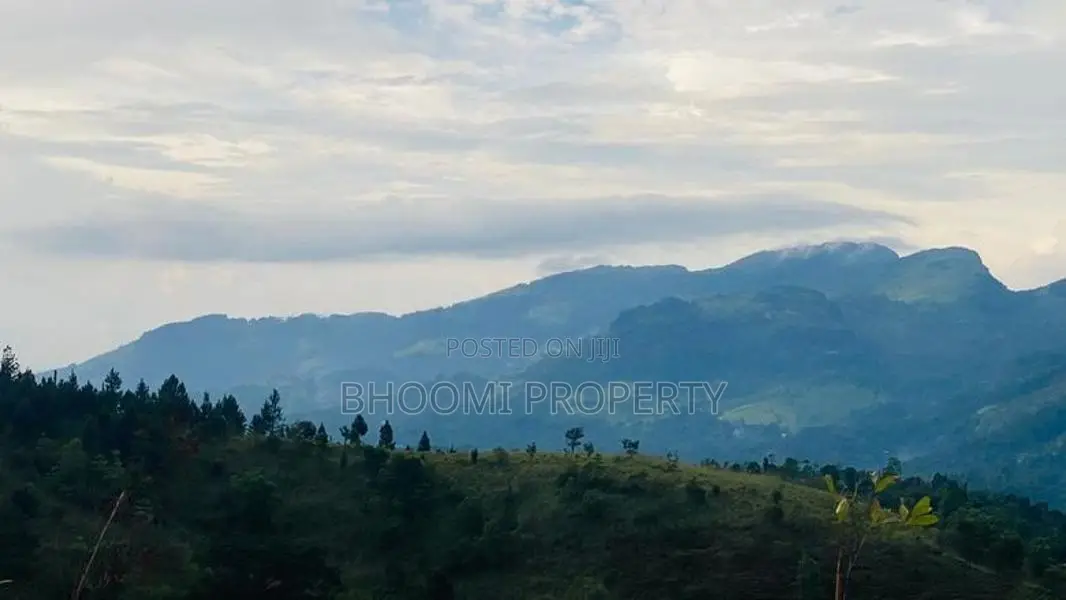 Land for Sale in Doluwa